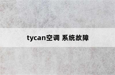 tycan空调 系统故障